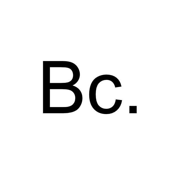 Bachelor's Programmes