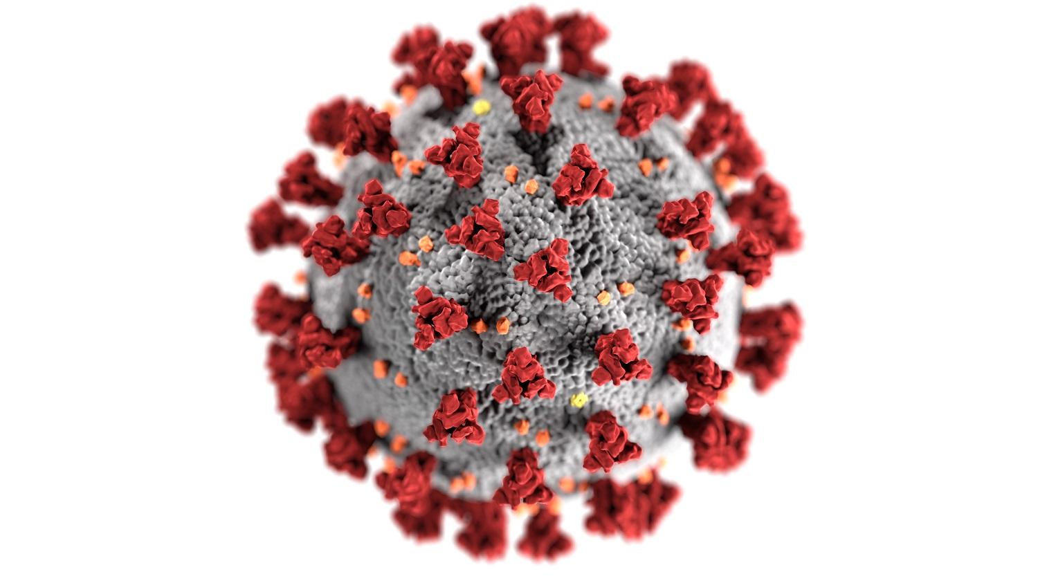 Koronavirus - informace z 23. 3.