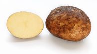 Potato_and_cross_section